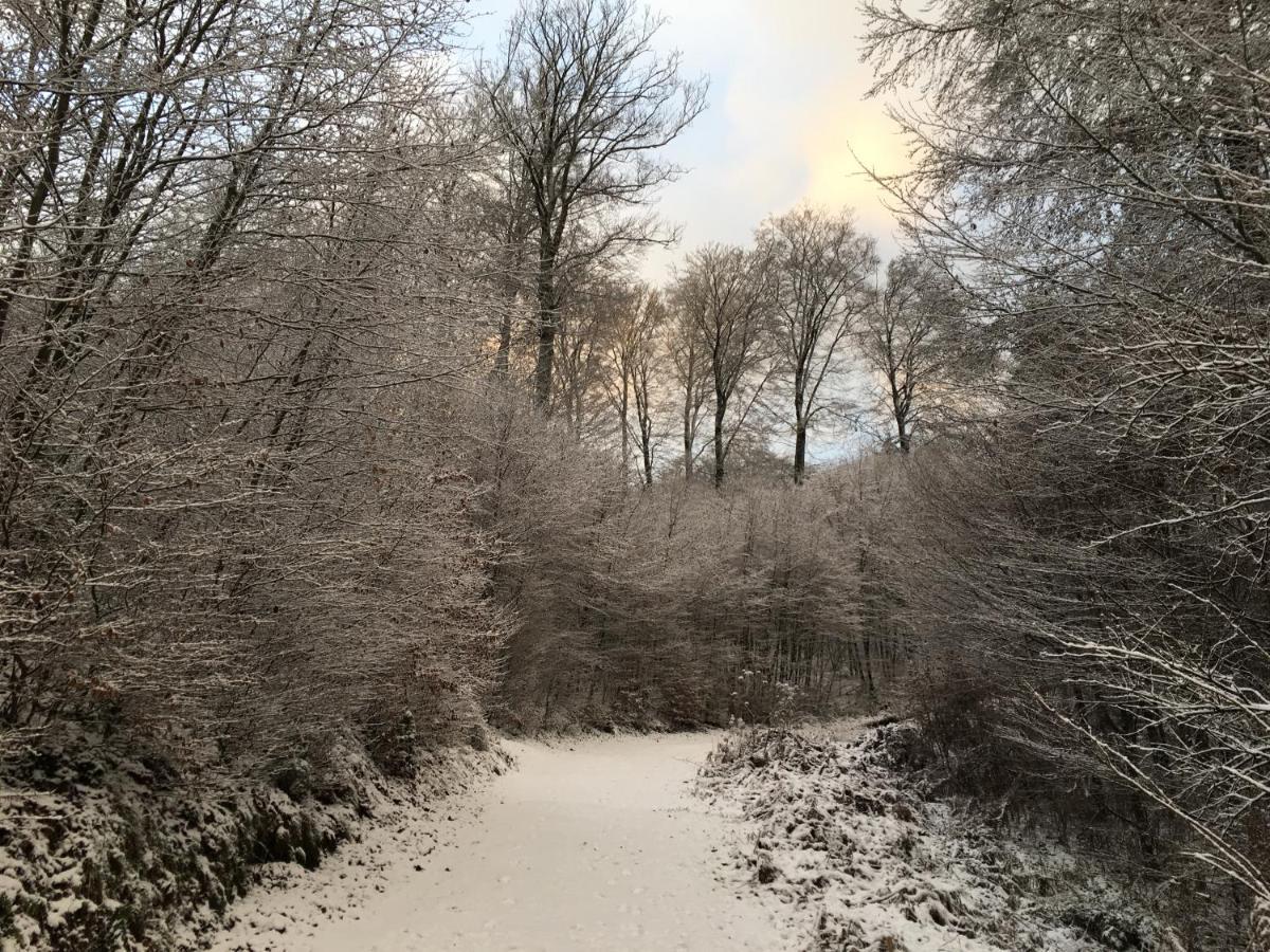 Le Nid De Salsa Lägenhet Walferdange Exteriör bild